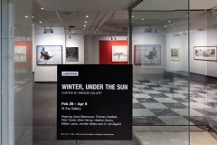 Winter, Under the Sun - First Canadian Place Gallery