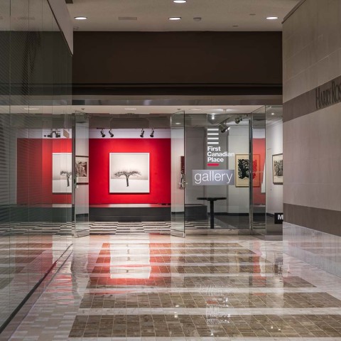 Winter, Under the Sun - First Canadian Place Gallery