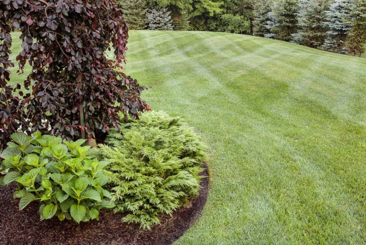 Whispering Pines Landscaping - Headwaters House