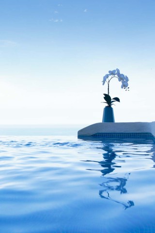 Manuel Antonio Villa