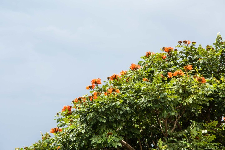 Manuel Antonio Villa